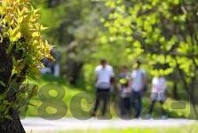 多特蒙德对阵巴黎圣日耳曼比分回顾与关键进球解析全景呈现赛场全记录